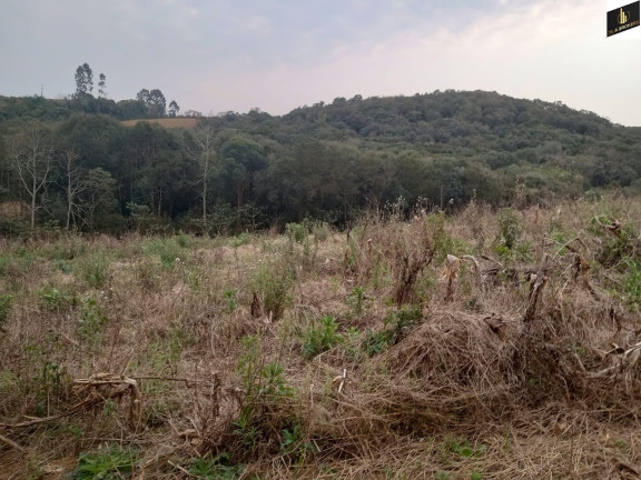Imagem Imóvel à Venda, 96.800 m² em Colonia Marcelino - São José Dos Pinhais