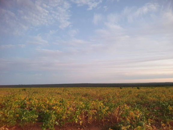 Imagem Fazenda à Venda, 407 m² em Go - Mambaí Imagem Fazenda à Venda, 407 m² em Go - Mambaí