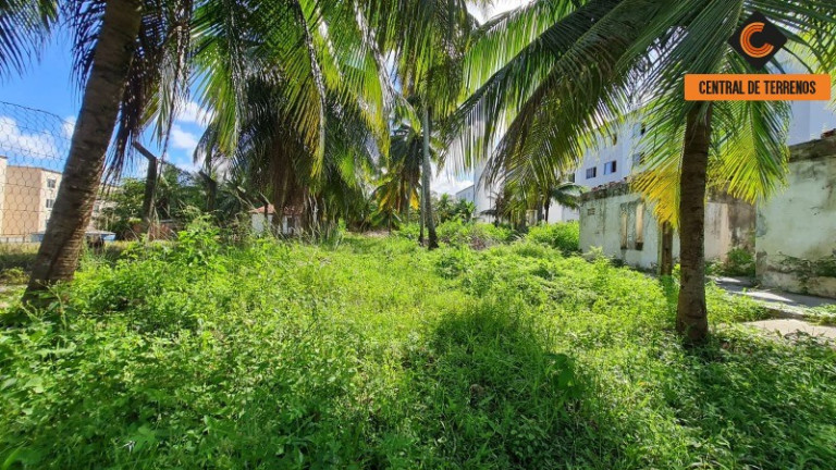 Imagem Terreno à Venda, 4.300 m² em Abrantes - Camaçari Imagem Terreno à Venda, 4.300 m² em Abrantes - Camaçari
