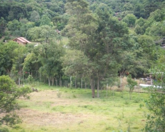 Imagem Terreno à Venda, 6.467 m² em Piá - Nova Petrópolis Imagem Terreno à Venda, 6.467 m² em Piá - Nova Petrópolis