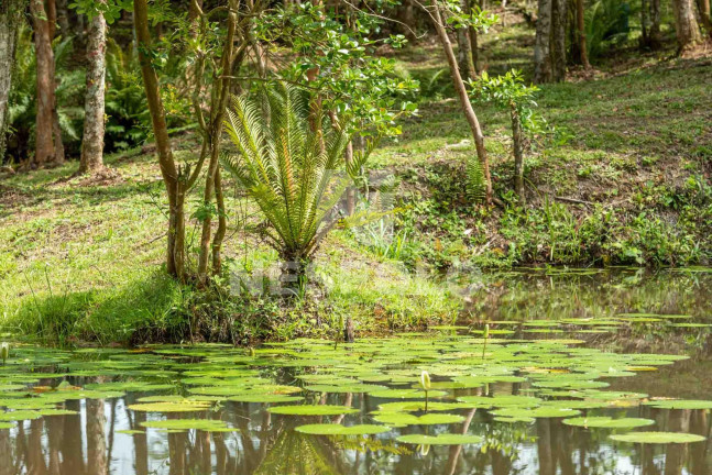 Imagem Terreno à Venda, em Rio Do Meio - Camboriu Imagem Terreno à Venda, em Rio Do Meio - Camboriu