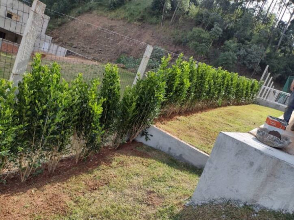 Imagem Casa com 4 Quartos à Venda, 586 m² em Residencial Tamboré - Barueri