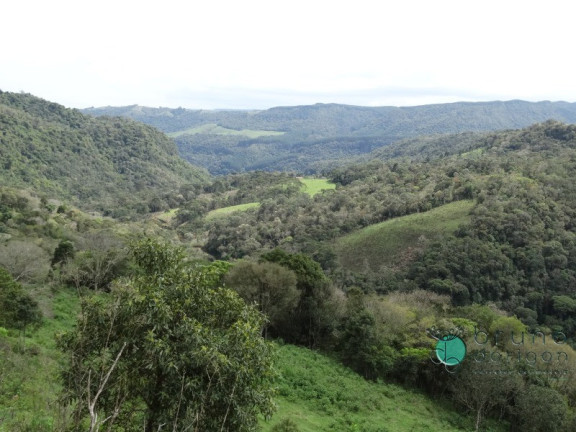 Imagem Imóvel à Venda, 120.000 m² em Zona Rural - Alfredo Wagner Imagem Imóvel à Venda, 120.000 m² em Zona Rural - Alfredo Wagner