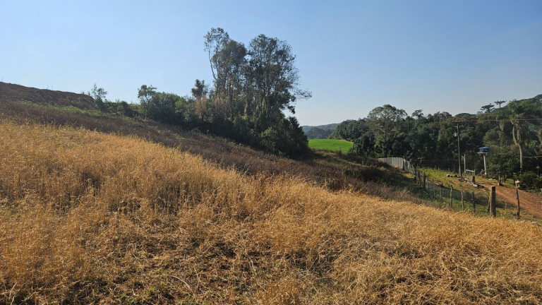 Imagem Fazenda à Venda, em Zona Rural - Araucaria Imagem Fazenda à Venda, em Zona Rural - Araucaria
