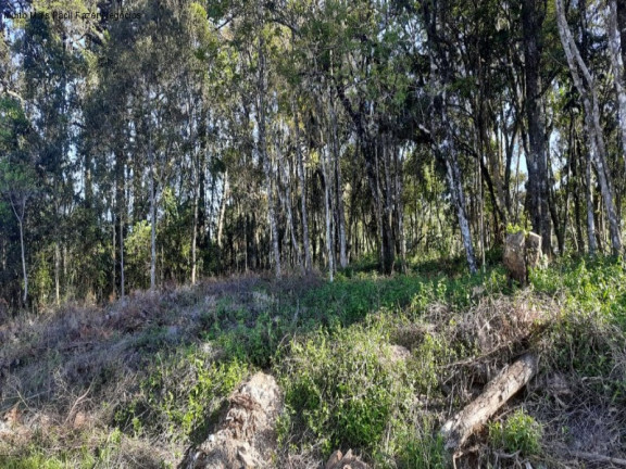 Imagem Terreno à Venda, 848 m² em Vila Germânia - Nova Petrópolis Imagem Terreno à Venda, 848 m² em Vila Germânia - Nova Petrópolis