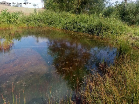 Imagem Terreno à Venda, 4 m² em Pinhal Alto - Nova Petrópolis