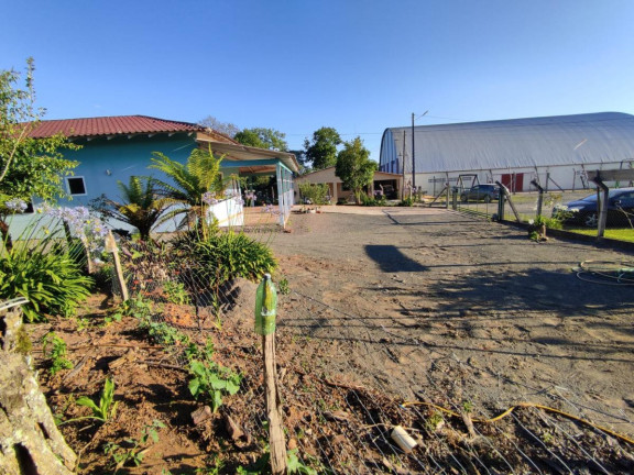 Imagem Casa com 3 Quartos à Venda, 293 m² em Trigolândia - Piên