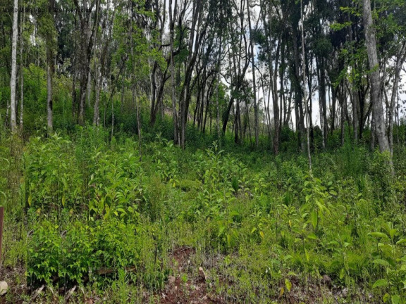 Imagem Terreno à Venda, 426 m² em Linha Imperial - Nova Petrópolis