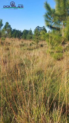 Imagem Imóvel Comercial à Venda, 4 m² em Viamão Imagem Imóvel Comercial à Venda, 4 m² em Viamão
