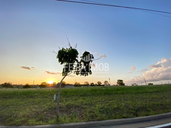 Imagem Terreno à Venda, 408 m² em Novo Horizonte - Feira De Santana Imagem Terreno à Venda, 408 m² em Novo Horizonte - Feira De Santana