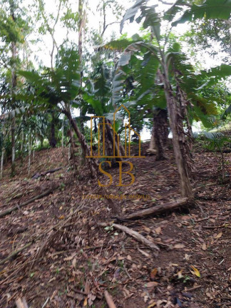 Imagem Chácara com 2 Quartos à Venda, 24 m² em Sete Barras Imagem Chácara com 2 Quartos à Venda, 24 m² em Sete Barras