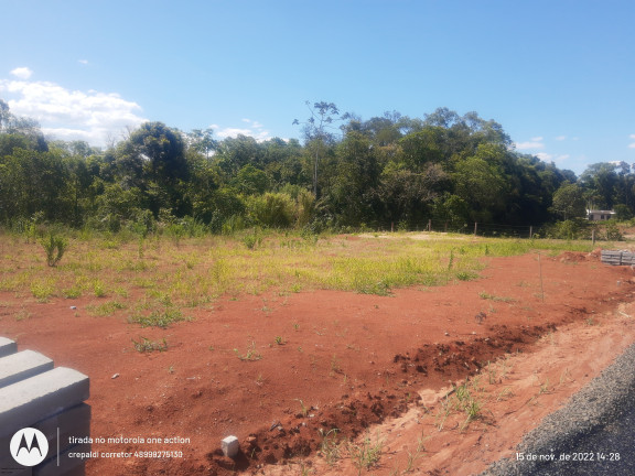 Imagem Terreno à Venda, 244 m² em Vila Nova Esperança - Criciúma Imagem Terreno à Venda, 244 m² em Vila Nova Esperança - Criciúma