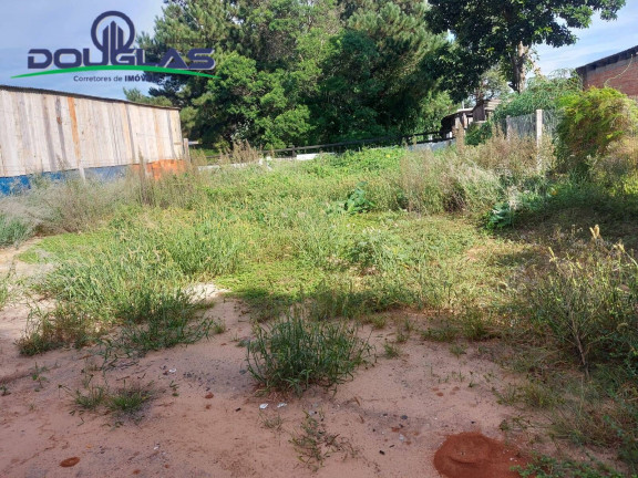 Imagem Casa com 2 Quartos à Venda, 450 m² em águas Claras - Viamão Imagem Casa com 2 Quartos à Venda, 450 m² em águas Claras - Viamão