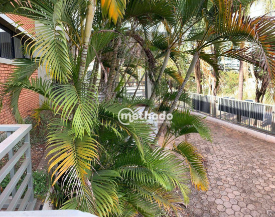 Imagem Galpão para Alugar, 2.600 m² em Jardim Santa Genebra - Campinas Imagem Galpão para Alugar, 2.600 m² em Jardim Santa Genebra - Campinas