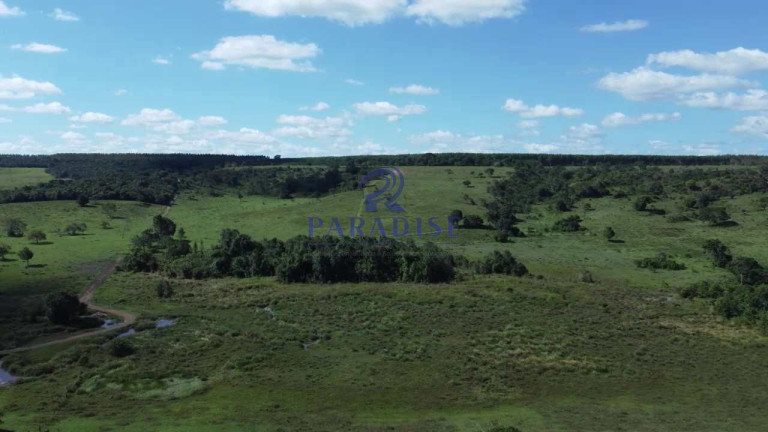 Imagem Fazenda à Venda, 1.925.928 m² em Zona Rural - Entre Rios Imagem Fazenda à Venda, 1.925.928 m² em Zona Rural - Entre Rios