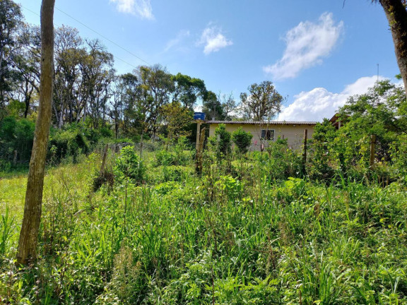 Imagem Chácara à Venda, 9.075 m² em Zona Rural - Quitandinha Imagem Chácara à Venda, 9.075 m² em Zona Rural - Quitandinha