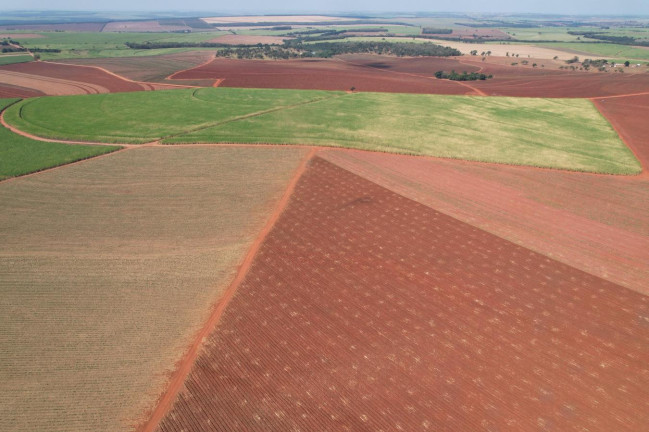 Imagem Fazenda à Venda, 64 m² em Zona Rural - Bariri Imagem Fazenda à Venda, 64 m² em Zona Rural - Bariri