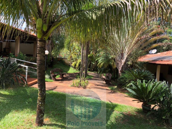 Imagem Imóvel com 5 Quartos à Venda, 5.000 m² em Recreio Internacional - Ribeirão Preto Imagem Imóvel com 5 Quartos à Venda, 5.000 m² em Recreio Internacional - Ribeirão Preto
