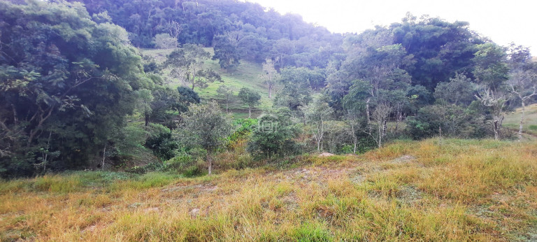Imagem Imóvel à Venda, 3 m² em Córrego Das Foices (rural) - Bandeira Do Sul