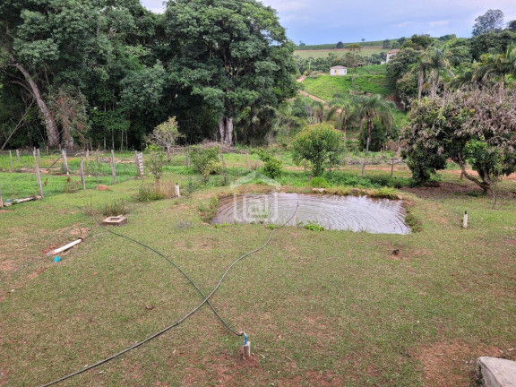 Imagem Imóvel com 4 Quartos à Venda, 8.200 m² em Comunidade Ribeirão Pequeno - Divisa Nova