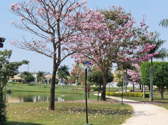 Imagem Casa de Condomínio com 3 Quartos à Venda, 244 m² em Condomínio Residencial Ibiti Royal Park - Sorocaba Imagem Casa de Condomínio com 3 Quartos à Venda, 244 m² em Condomínio Residencial Ibiti Royal Park - Sorocaba