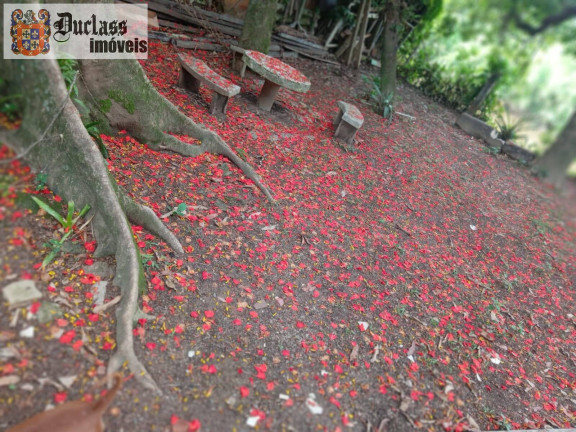 Imagem Chácara com 5 Quartos à Venda, 350 m² em Chácara Recreio Danubio - Holambra Imagem Chácara com 5 Quartos à Venda, 350 m² em Chácara Recreio Danubio - Holambra