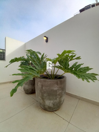 Imagem Apartamento com 2 Quartos à Venda, 98 m² em Nossa Senhora De Fátima - Santa Maria Imagem Apartamento com 2 Quartos à Venda, 98 m² em Nossa Senhora De Fátima - Santa Maria