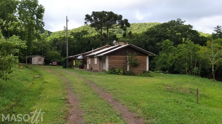 Imagem Chácara com 2 Quartos à Venda, 90.000 m² em Moreira - Gramado