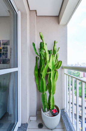 Imagem Apartamento com 3 Quartos à Venda, 55 m² em Liberdade - São Paulo