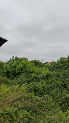 Imagem Terreno à Venda, 396 m² em Salinas - Balneário Barra Do Sul