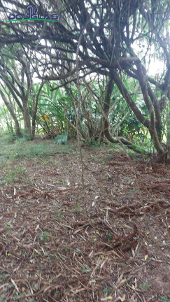 Imagem Terreno à Venda, em águas Claras - Viamão Imagem Terreno à Venda, em águas Claras - Viamão