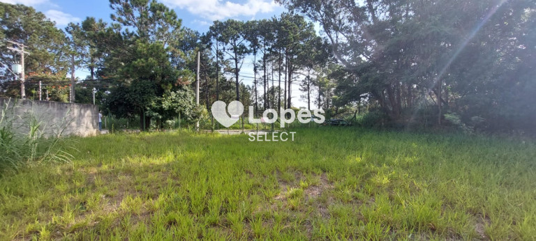 Imagem Terreno à Venda, 1.000 m² em Vila Omízollo - Louveira