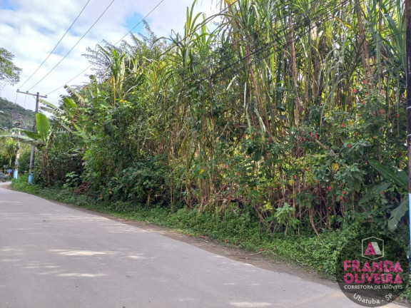 Imagem Terreno à Venda, 670 m² em Itamambuca - Ubatuba Imagem Terreno à Venda, 670 m² em Itamambuca - Ubatuba