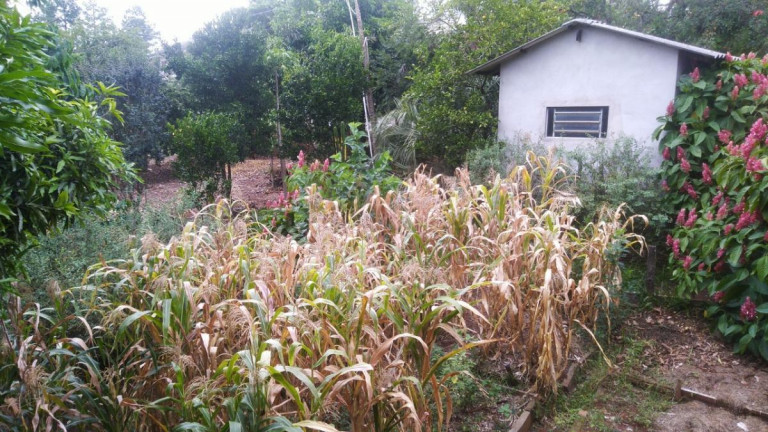 Imagem Terreno à Venda, 360 m² em Campestre - São Leopoldo Imagem Terreno à Venda, 360 m² em Campestre - São Leopoldo