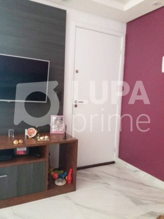 Imagem Apartamento com 2 Quartos à Venda, 48 m² em Jardim Ansalca - Guarulhos Imagem Apartamento com 2 Quartos à Venda, 48 m² em Jardim Ansalca - Guarulhos
