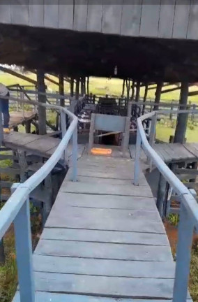 Imagem Fazenda à Venda, 8 m² em Poconé Imagem Fazenda à Venda, 8 m² em Poconé
