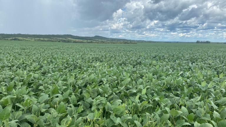 Imagem Fazenda à Venda, 963 m² em Rural - Rosário Oeste Imagem Fazenda à Venda, 963 m² em Rural - Rosário Oeste