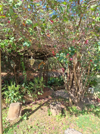 Imagem Imóvel com 3 Quartos à Venda, 2.750 m² em Estância Navarrete (zona Rural) - São José Do Rio Preto