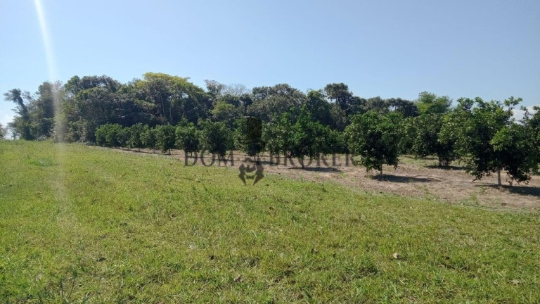 Imagem Fazenda à Venda, 555.000 m² em Sao Vicente - Araruama Imagem Fazenda à Venda, 555.000 m² em Sao Vicente - Araruama