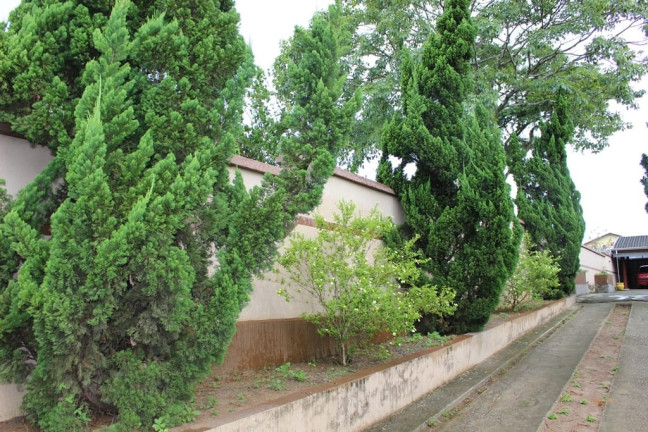 Imagem Casa com 6 Quartos à Venda, 400 m² em Santana - Pindamonhangaba