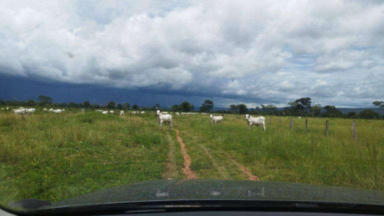 Imagem Fazenda à Venda,  em Rondonópolis