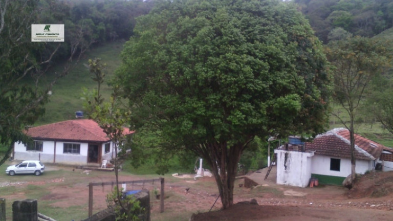Imagem Fazenda à Venda, 5.000 m² em Planalto Verde - São Roque Imagem Fazenda à Venda, 5.000 m² em Planalto Verde - São Roque