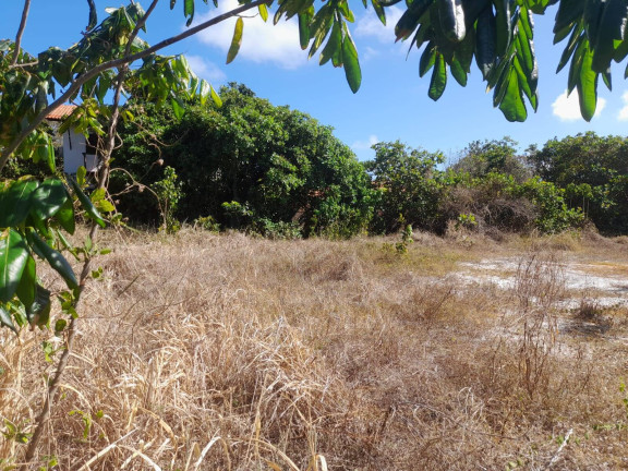 Imagem Terreno à Venda, em Centro - Tibau Do Sul Imagem Terreno à Venda, em Centro - Tibau Do Sul
