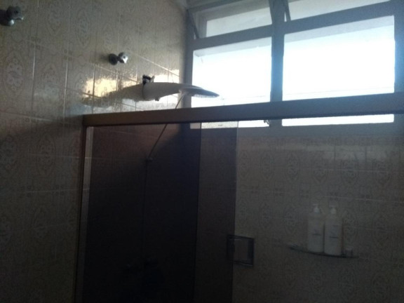 Imagem Casa com 4 Quartos à Venda, 466 m² em Parque Taquaral - Campinas Imagem Casa com 4 Quartos à Venda, 466 m² em Parque Taquaral - Campinas