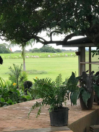 Imagem Fazenda à Venda, 401.720 m² em Goiânia Imagem Fazenda à Venda, 401.720 m² em Goiânia