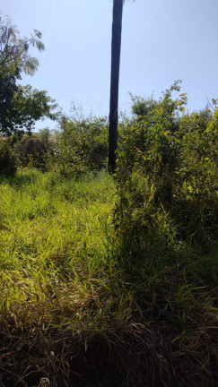 Imagem Imóvel à Venda, 1.000 m² em Vale Do Igapó - Bauru