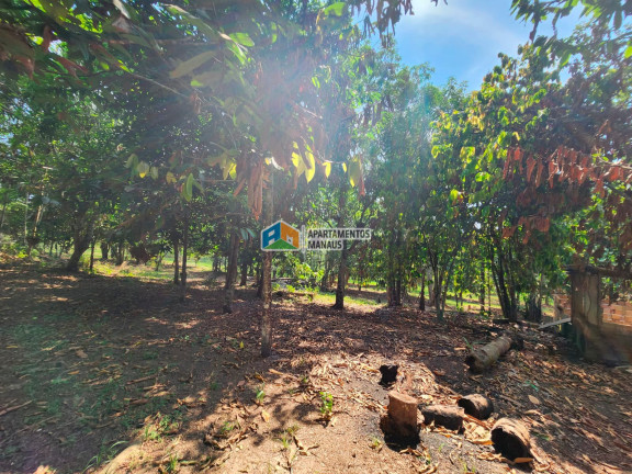 Imagem Chácara com 5 Quartos à Venda, 32.000 m² em Cacau Pirera - Iranduba