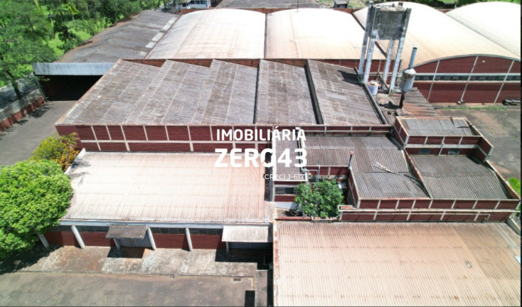 Imagem Casa para Alugar, 6.740 m² em Jardim Rosicler - Londrina Imagem Casa para Alugar, 6.740 m² em Jardim Rosicler - Londrina