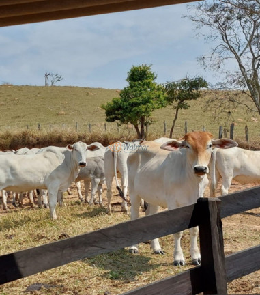 Imóvel com 3 Quartos à Venda, 320 m² em Centro - Monte Sião