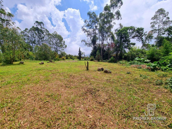 Imagem Terreno à Venda, 6.425 m² em São Pedro - Teresópolis Imagem Terreno à Venda, 6.425 m² em São Pedro - Teresópolis